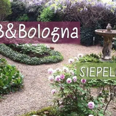 B&bologna * Bologna